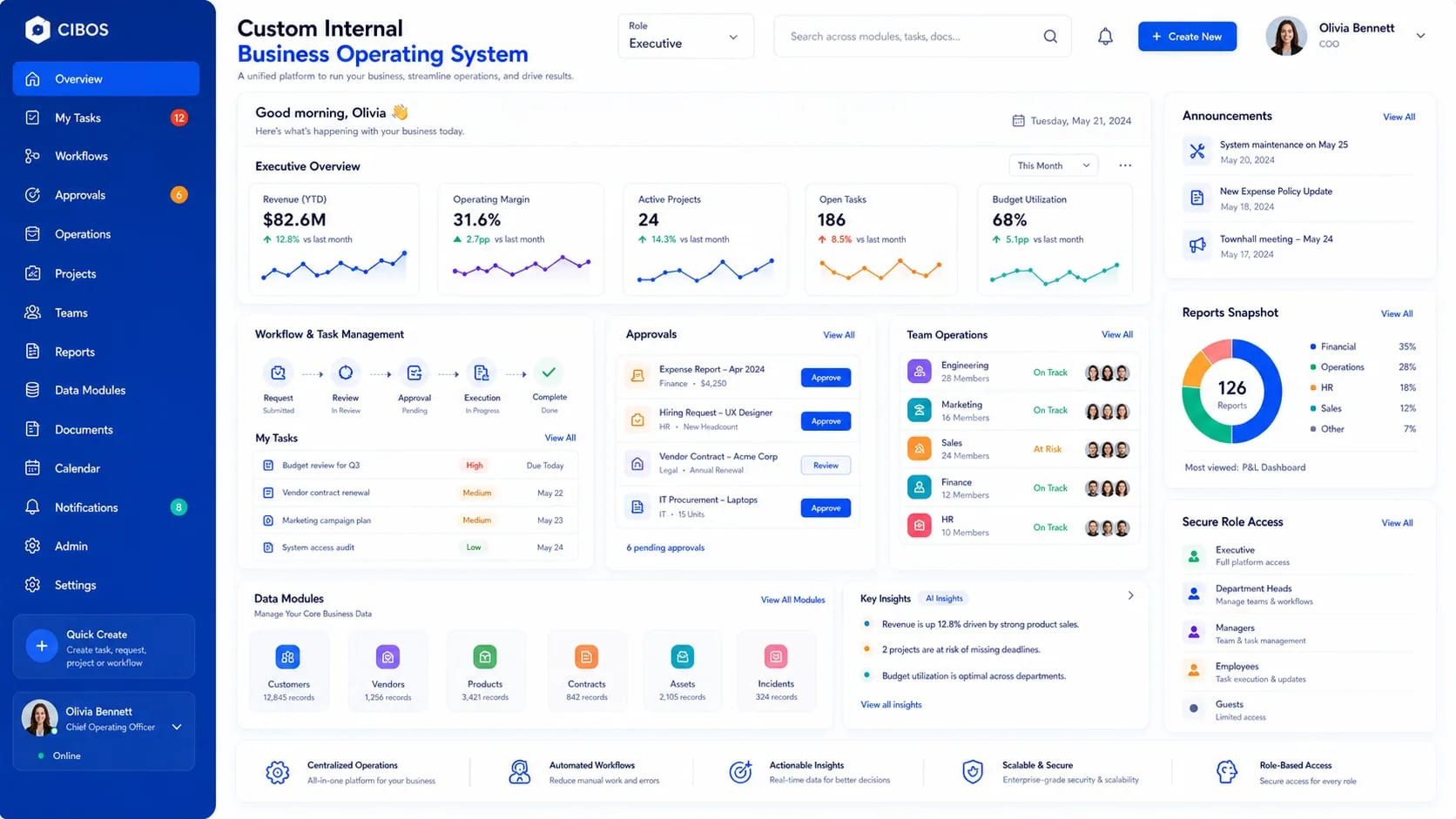 Custom Internal Business Operating System interface preview